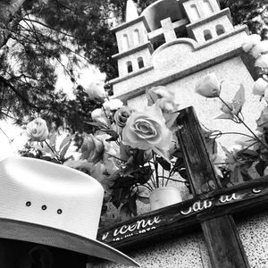 Meet your Posher, Chin